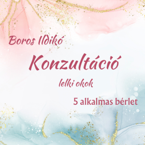 konzultáció Boros Ildikó