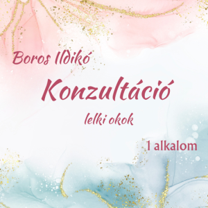 konzultáció Boros Ildikó