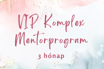 mentorprogram